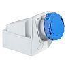 SE PratiKa Розетка настенная, винтовой зажим, 63А 2P+E IP67 220В, Schneider Electric, , 81178